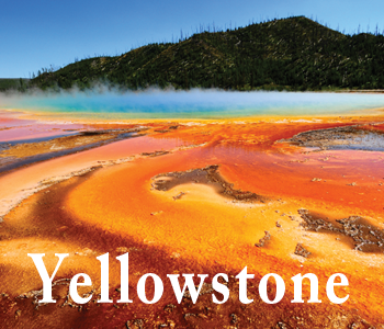 Yellowstone National Park Tour