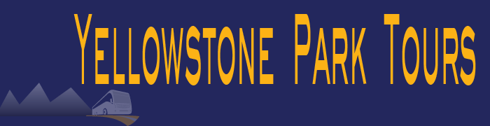 Yellowstone National Park Tour